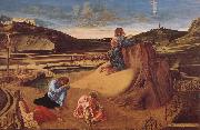 Giovanni Bellini Christ in Gethsemane oil on canvas